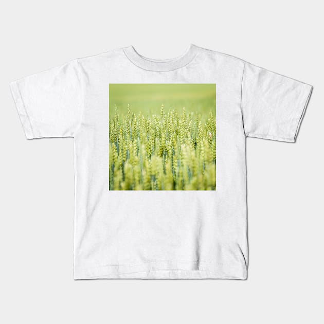 Common Wheat Kids T-Shirt by ansaharju